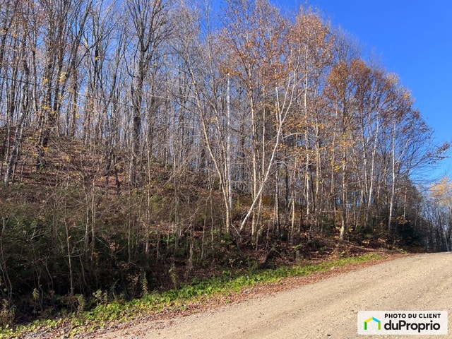 $65,000 - Residential Lot for sale in Lac-des-Plages — photo 3