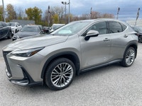 Groupe d'options Ultra Premium. Apple Carplay, Sièges chauffants et ventilés, volant chauffant, toit... (image 9)