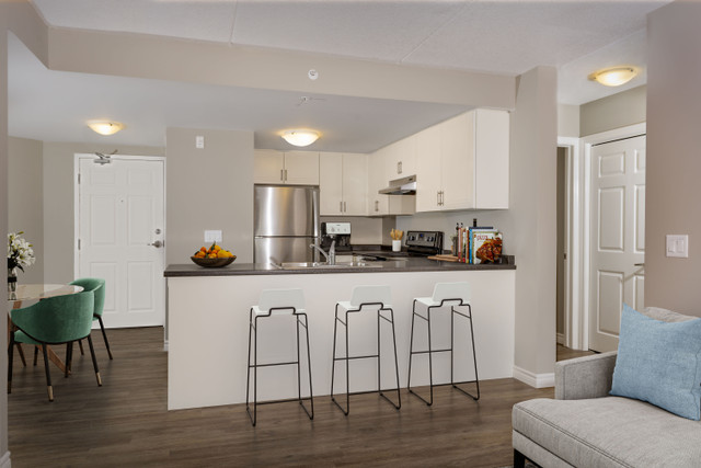 1 Bedroom in Guelph | Minutes away from Downtown | Call TODAY! in Long Term Rentals in Guelph