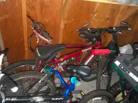 MANY BICYCLES FROM BABY TO ADULTS