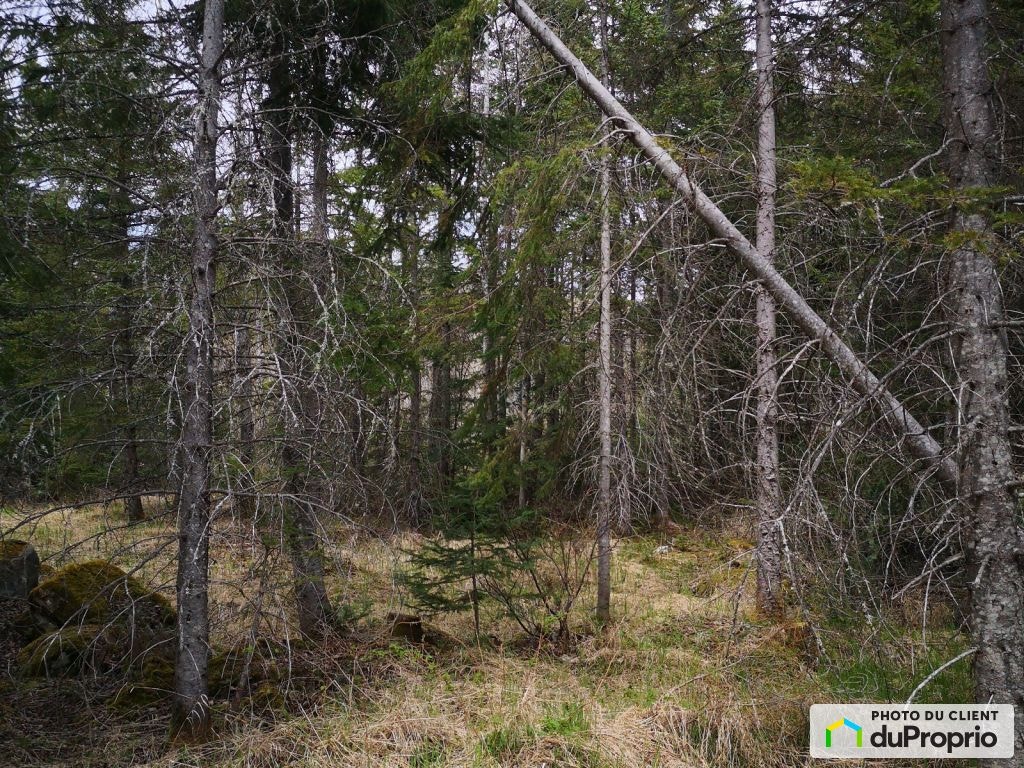 $64,000 - Residential Lot for sale in Ste-Lucie-De-Beauregard — photo 3
