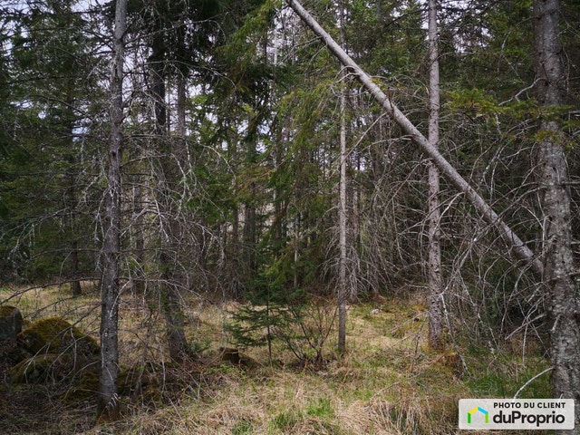 $64,000 - Residential Lot for sale in Ste-Lucie-De-Beauregard — photo 3