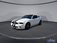 City Ford is Family Owned and Operated serving Edmonton and area for Over 37 Years - Over 300 New &... (image 3)