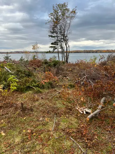Discover the perfect setting for unforgettable family memories on this beautiful waterfront lot! Nes...
