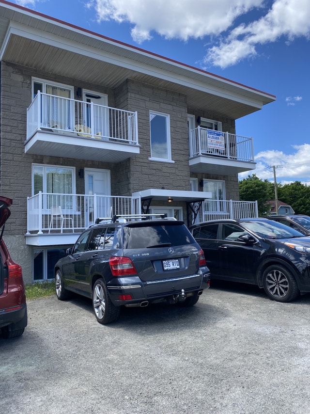 Magnifique 4 1/2, d'Estimauville demi soussol juillet WIFI Locations