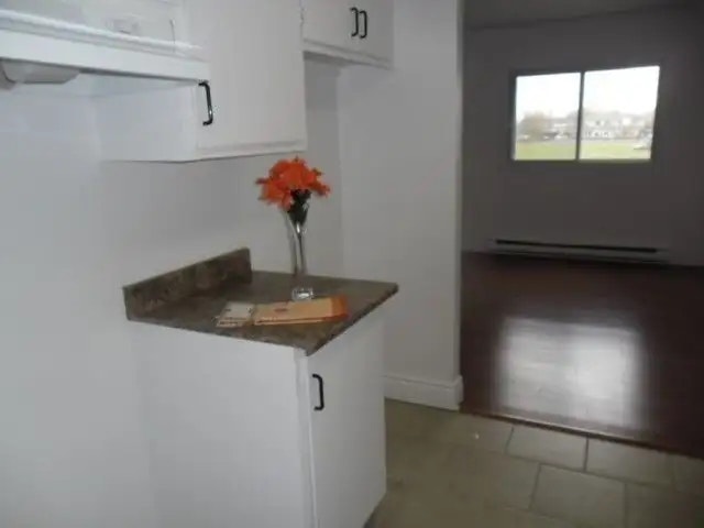 4,5 à louer,2 chambre, Rive Sud de Montreal, Longueuil 3