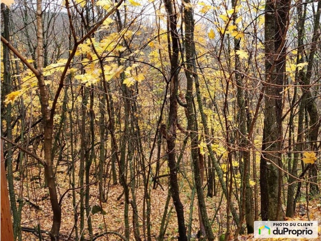 $49,000 - Residential Lot for sale in Montcalm — photo 3