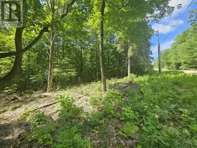 Wilno Hills - attractive 10-acre building lot with a mix of open space and mature hardwood forest. T...