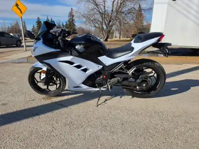 2014 Kawasaki Ninja 300 Motorcycle – Safetied – Financing Available Sporty, lightweight, and incredi...