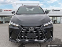 Experience exhilarating performance and unparalleled sophistication behind the wheel of the 2025 Lex... (image 8)