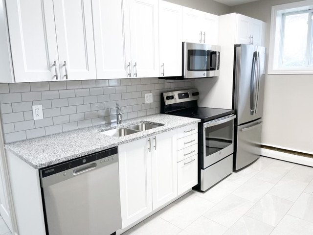 All Inclusive - Renovated 1 Bdrm Apartments Avail. Immediately! in Long Term Rentals in Sarnia - Image 2