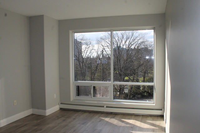 SPACIOUS 1 BEDROOM ON FABULOUS PUBLIC GARDENS in Long Term Rentals in City of Halifax - Image 4