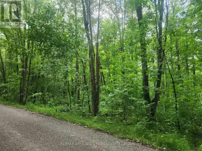 Beautiful treed lot in the heart of cottage country, just 10 minutes from the picturesque village of...