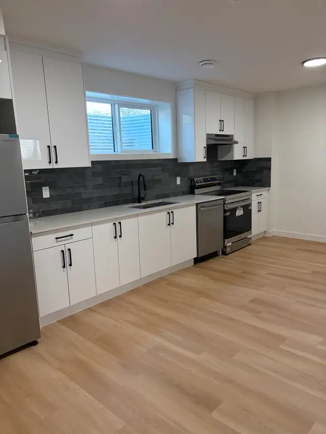 1 Bed 1 Bath Brand New Basement Suite - Alberta Avenue
