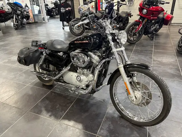 2004 Harley-Davidson Sportster 883 Custom in Sport Bikes in Sudbury - Image 3