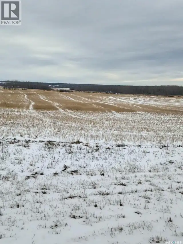 NE-26-37-05-W2 Endeavour, Saskatchewan in Land for Sale in Saskatoon - Image 4