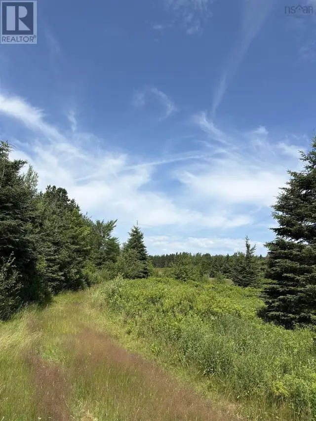 272 Breen Road Monastery, Nova Scotia in Land for Sale in New Glasgow - Image 6