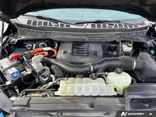 2022 Ford F-150 Platinum | 3.5L Powerboost | Power Steps in Cars & Trucks in Mississauga / Peel Region - Image 14