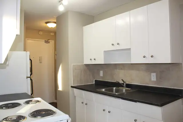 Central McDougall Apartment For Rent | Carina Court in Long Term Rentals in Edmonton - Image 10