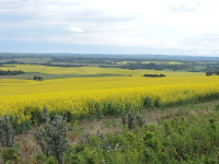 Prime grain land and large ranches in Peace region of AB + BC