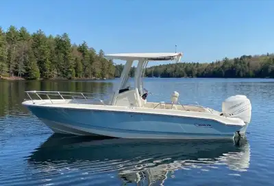 General: 250 XL V8 CMS (DTS) MERC WHITE . SPLIT BOW RAIL. WHITE RUBRAIL WITH STAINLESS STEEL INSERT....