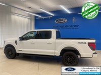 When you choose Ford, you choose adventure. Rain or shine, it’s time to rediscover things you love w... (image 8)
