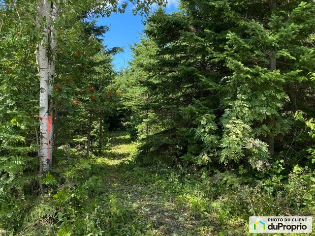$73,500 - Residential Lot for sale in St-Charles-Garnier — photo 2