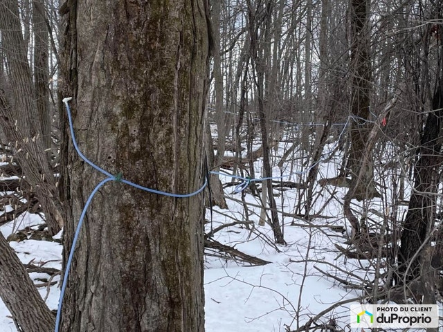 $37,500 - Arable Land for sale in Vimont — photo 2