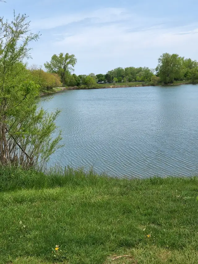 Basement suite for rent with shared access in Room Rentals & Roommates in Sarnia - Image 11