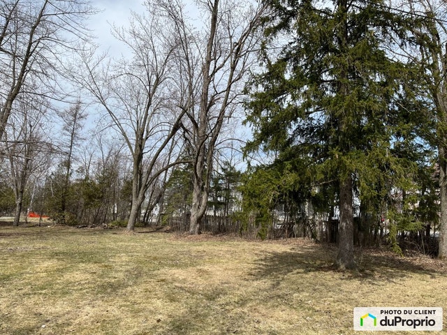 $950,000 - Residential Lot for sale in St-Mathias-sur-Richelieu — photo 2