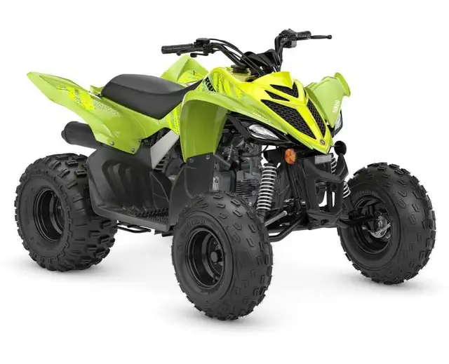 2026 Yamaha Raptor 110 in ATVs in Ottawa - Image 3