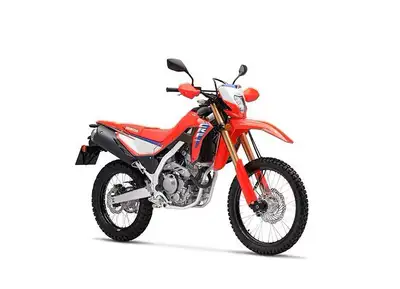 Honda CRF300L Dual Sport Motorcycle The Honda CRF300L and CRF300L Rally doesnt compromise it offers...
