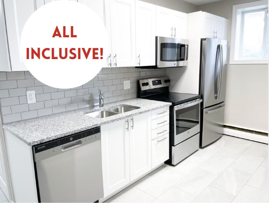 All Inclusive - Renovated 1 Bdrm Apartments Avail. Immediately! in Long Term Rentals in Sarnia