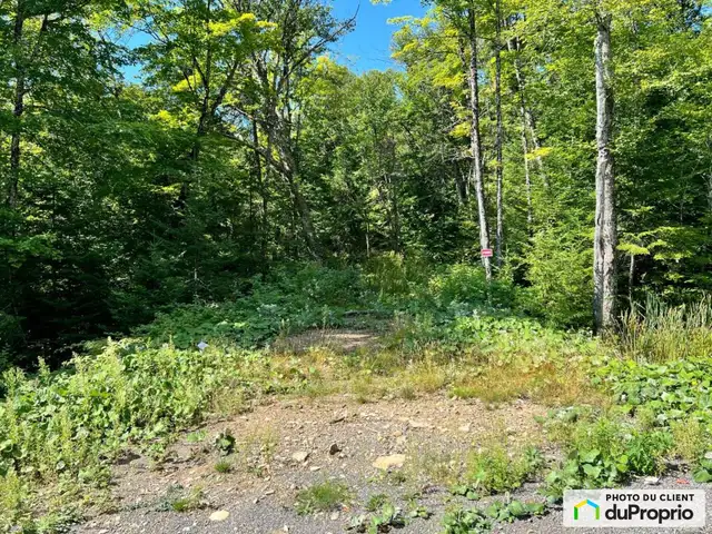 $129,999 - Residential Lot for sale in Entrelacs in Land for Sale in Laurentides - Image 5