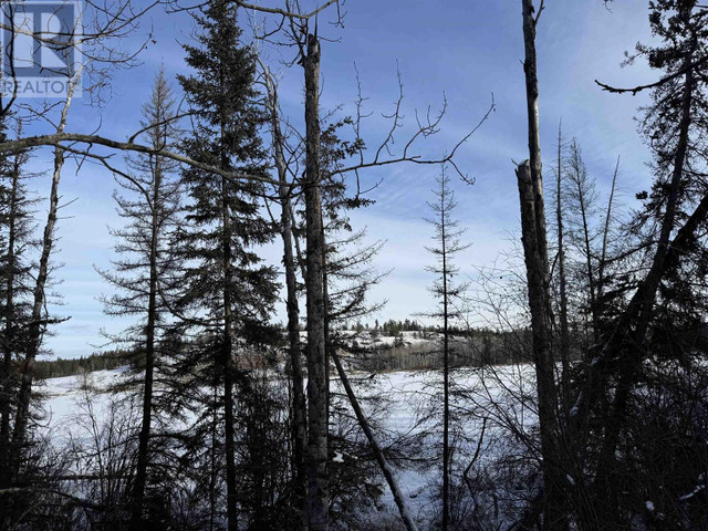 BLK B W PUNTZI AIRPORT ROAD Williams Lake, British Columbia in Land for Sale in Williams Lake - Image 3