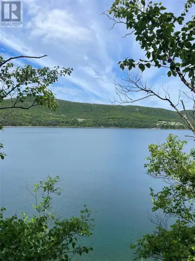 Large parcel of land with loads of privacy. Wooded lot that can be developed as the new owner sees f...