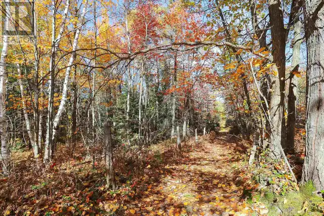 Lot 19 Nokomis Beach RD Sault Ste. Marie, Ontario in Land for Sale in Sault Ste. Marie - Image 9