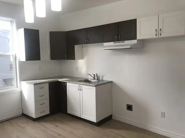 Superbe 3 1/2 entièrement rénové, juillet, près du Centre-Ville