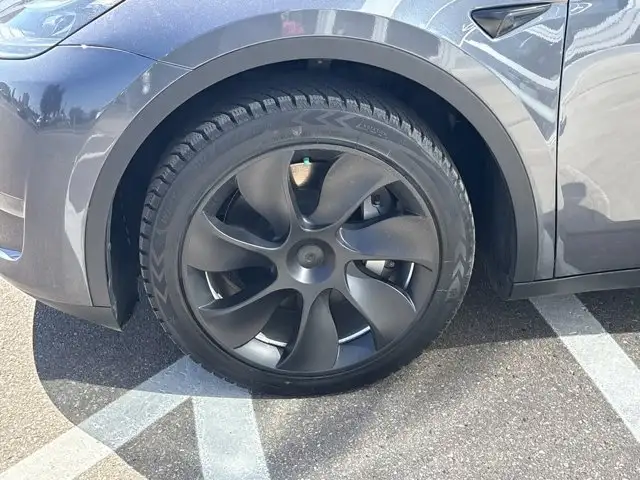 2023 Tesla Model Y Base5601878023766118426