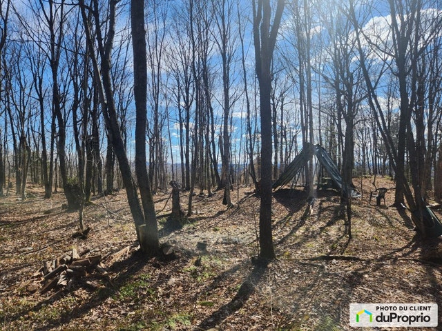 $79,900 - Residential Lot for sale in St-Joseph-De-Ham-Sud — photo 2