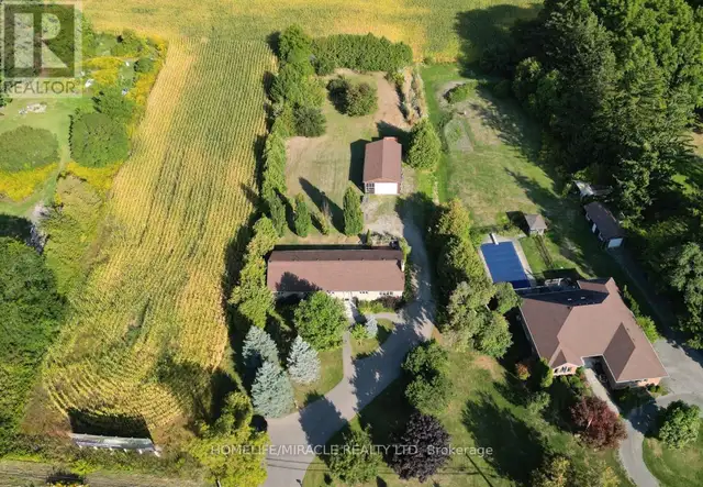 385 MOUNT PLEASANT ROAD Brantford, Ontario in Houses for Sale in Brantford - Image 29