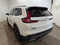 *Price includes: Block heater, Air Conditioning, Tire Tax, and Pro Skin Protection on Hood and Mirro... (image 4)