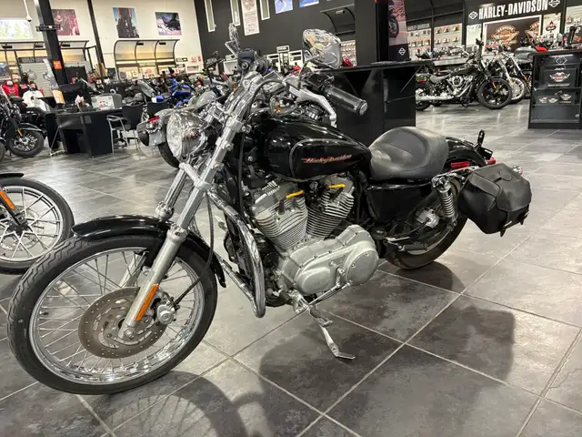 2004 Harley-Davidson Sportster 883 Custom in Sport Bikes in Sudbury - Image 12
