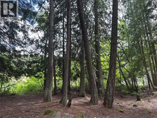 611 Slocan Street Slocan, British Columbia in Land for Sale in Nelson - Image 12
