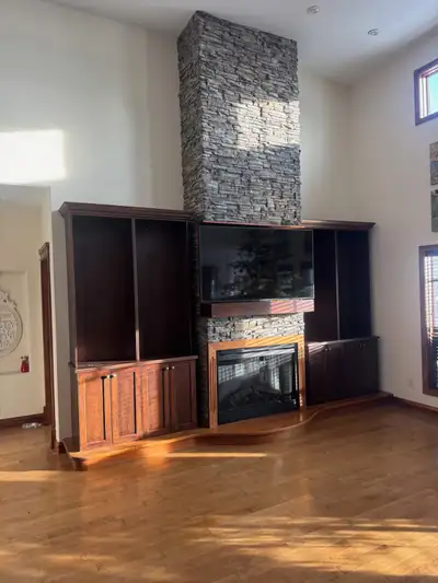 Plug In Electric Fireplace, View more