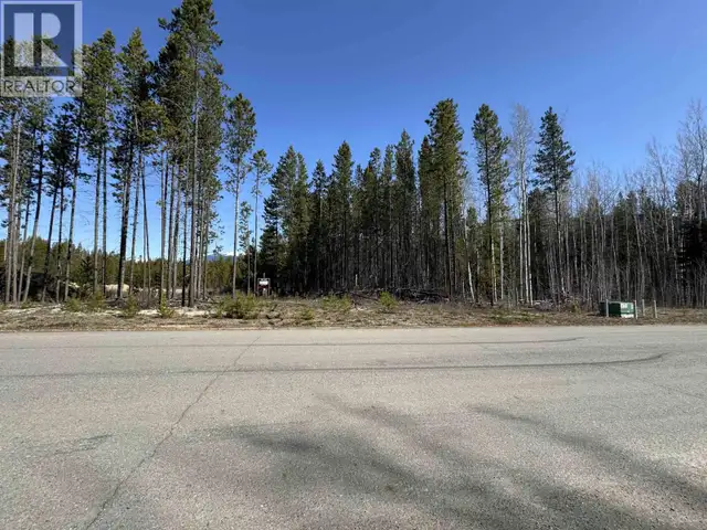 1030 18TH AVENUE Valemount, British Columbia in Land for Sale in Quesnel - Image 7