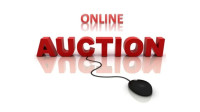 Have something you want to auction? Let me make you money!!