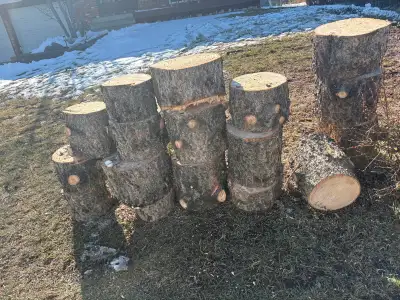 Free Firewood, View more