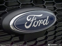 Rose City Ford This Ford Transit Cargo Van has a durable Regular Unleaded V-6 3.5 L/213 engine power... (image 8)