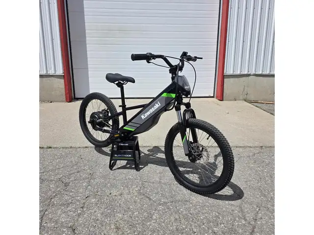 2025 Kawasaki Elektrode 20 in Dirt Bikes & Motocross in Brantford - Image 4